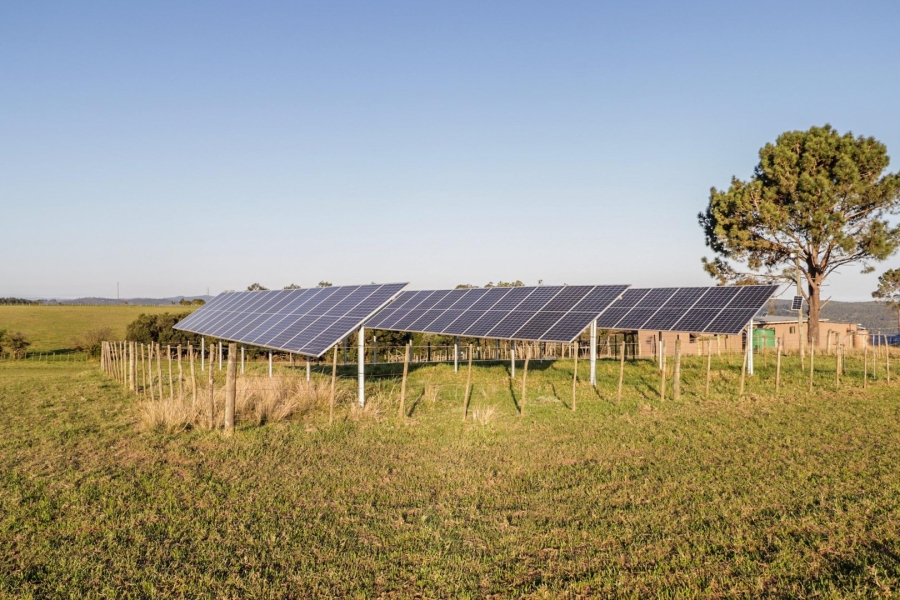 Commercial Property for Sale in Rondevlei Western Cape